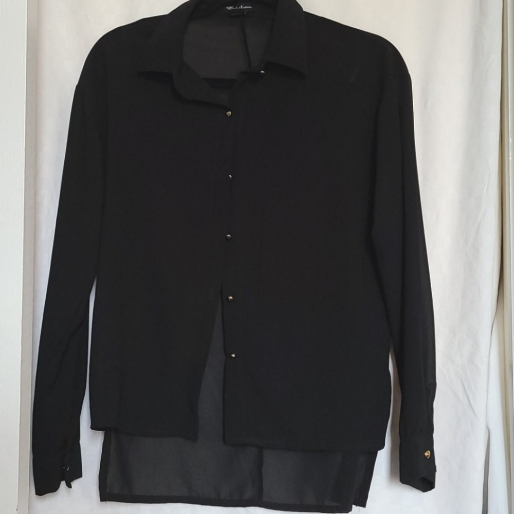 Sheer Long Sleeve